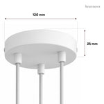 3-Light Metal Ceiling Rose Kit